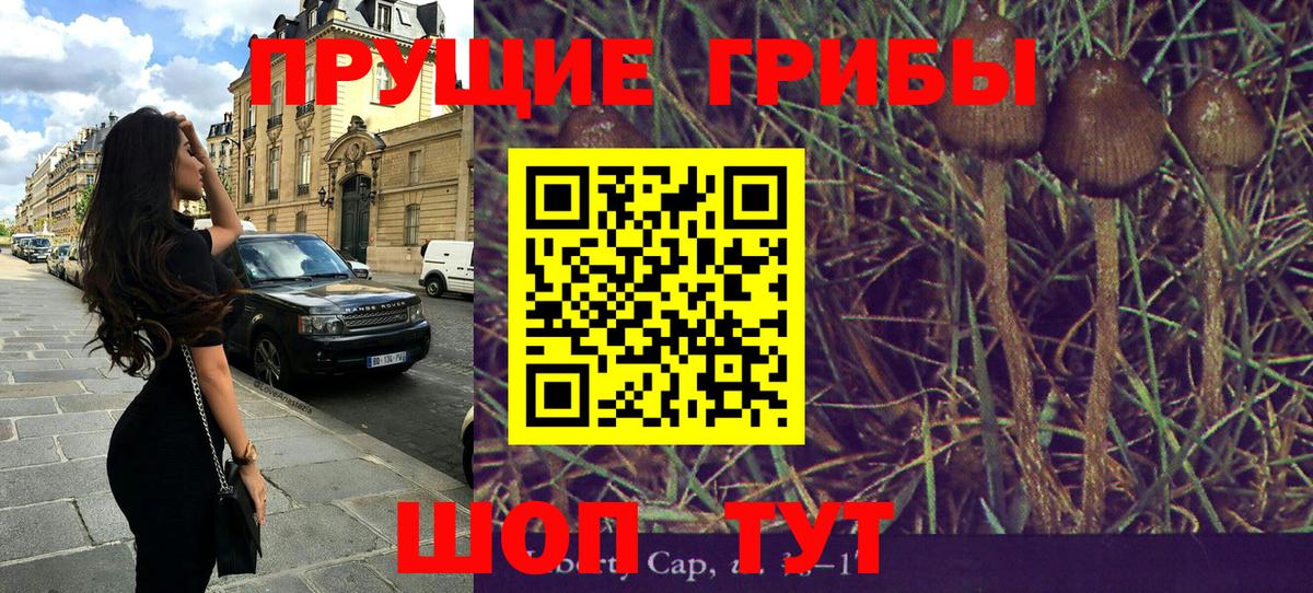 Галлюциногенные грибы прущие грибы Зеленогорск