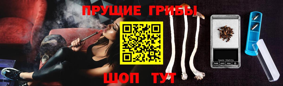 Зеленогорск  что такое наркотик  Вход с VPN  Псилоцибиновые грибы Psilocybine cubensis 